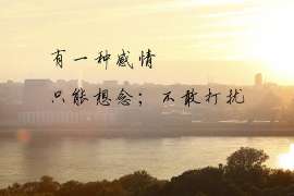 江都市私家侦探公司